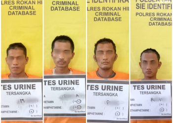 Curi Buah Sawit Milik Warga Sumut, 4 Pemuda di Sinaboi Dipolisikan