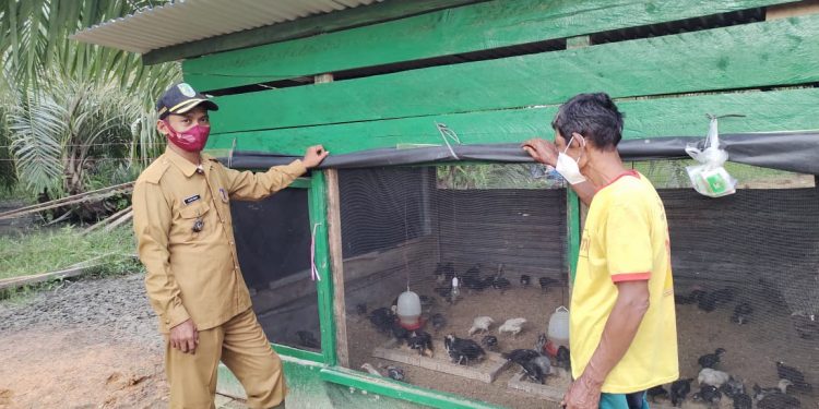 Penghulu Suak Temenggung Apresiasi Demplot Ternak Ayam Program TMMD