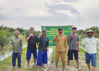 Penghulu Apresiasi Demplot Cabai Program TMMD ke-111