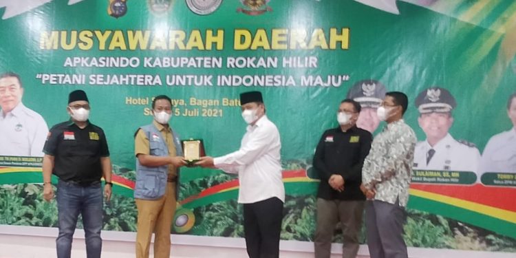 Tomy Sihombing Kembali Nahkodai APKASINDO Rohil