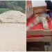 Material Drainase di Basira Makan Korban, Seorang Pengendara Diopname