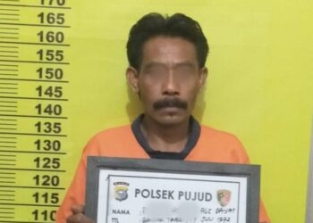 Curi TBS PTPN V Tanjung Medan, RH Digelandang ke Polsek Pujud