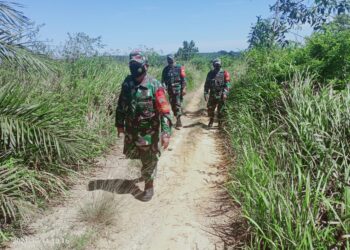 Babinsa Koramil 03/Bgs Patroli Karhutla di Wilayah Rawan Titik Api