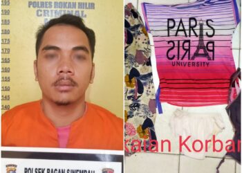 Pria Ini Rudapaksa Ibu Muda, Pelaku Juga Curi Uang Lalu Kabur