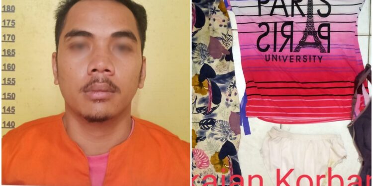 Pria Ini Rudapaksa Ibu Muda, Pelaku Juga Curi Uang Lalu Kabur