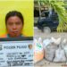 Kepergok Security PT Tunggal Mitra Bawa Brondolan, Wanita Ini Dipolisikan