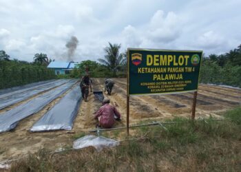 Pok 4 Koramil 03/Bgs Persiapkan Lahan Ketapang untuk Ditanam Bawang