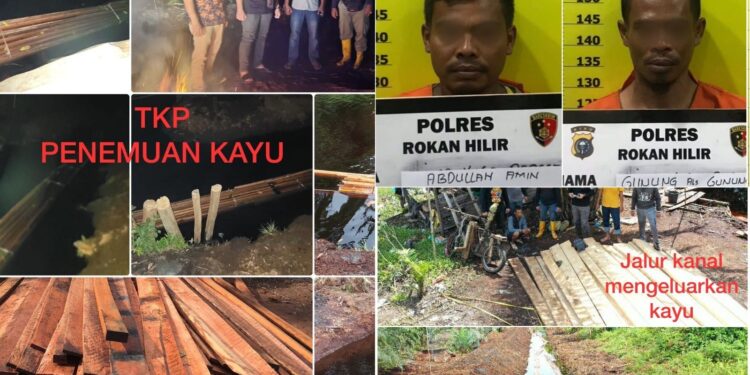 Dua Pelaku Ilegal Logging Ditangkap, 7 Ton Kayu Olahan Diamankan