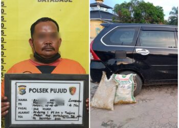 Diperiksa di Pos Security, Karyawan PTPN V Ini Bawak Brondolan Naik Xenia