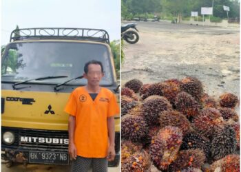 Curi Buah Sawit PT LTS, ‘Cik Gu’ Digelandang ke Polsek Pujud