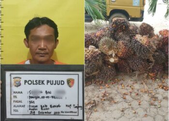 1 dari 9 Pelaku Pencurian TBS Milik PTPN V Berhasil Diamankan Security