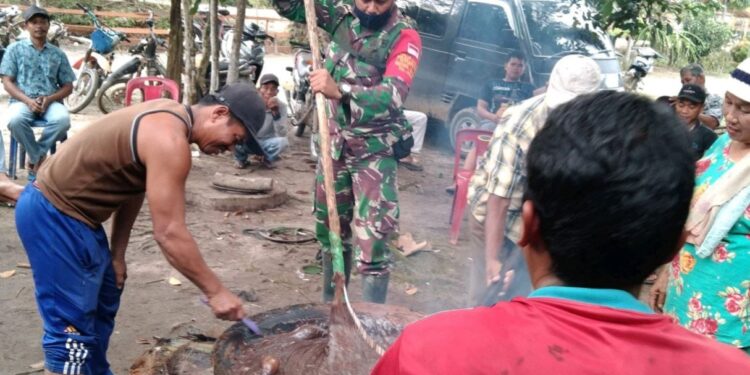 Semakin Dekat dengan Rakyat, Babinsa Koramil 03/Bgs Bantu Warga Buat Dodol