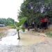 Tak Kunjung Diperbaiki, Jalan Ringroad Baganbatu Ditanam Pohon Pisang
