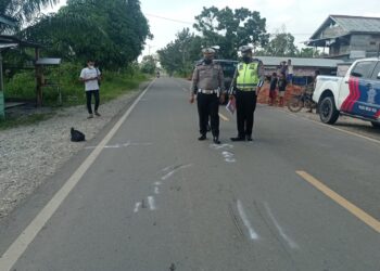 Ditabrak Navara, Dua Kakak Beradik Tewas di Jalan Lintas Bagan Siapiapi