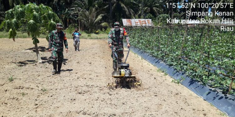 Babinsa Koramil 03/Bgs Kembali Lakukan Pendampingan Hanpangan