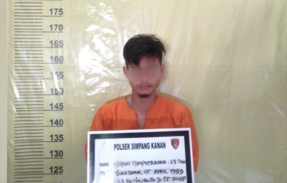 Ditinggal Undangan ke Pesta, Pria Ini Bobol Rumah, Gasak Belasan HP