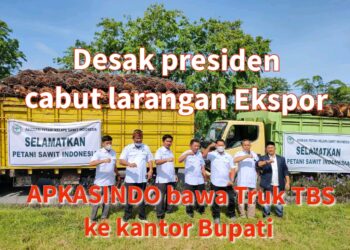 Bawa Truk TBS, APKASINDO Rohil Unjuk Rasa di Depan Kantor Bupati