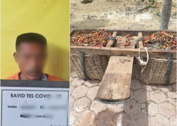 Rugi Rp 200 Ribu, PT. Tunggal Mitra Polisikan Warga Pengutip Brondolan