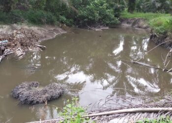 Aliran Sungai Batas Riau-Sumut di Rohil Diduga Tercemar Limbah