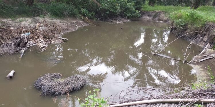 Aliran Sungai Batas Riau-Sumut di Rohil Diduga Tercemar Limbah