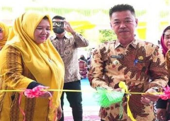 Bupati Rohil Resmikan UPT Instalasi Farmasi Dinas Kesehatan 