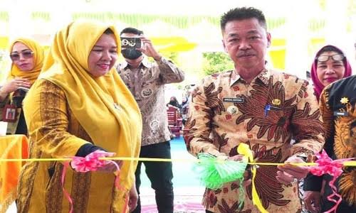 Bupati Rohil Resmikan UPT Instalasi Farmasi Dinas Kesehatan