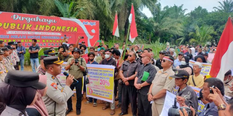 Tuntut Pembagian Plasma, Dua Koperasi Gelar Aksi Unjuk Rasa di PT SIMP