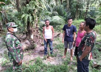 Babinsa Koramil Persiapan 0321-06/Tanjung Medan Patroli Karhutla