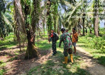 Pastikan Nihil Titip Api, Babinsa Koramil 0321-06/Tanjung Medan Patroli Karhutla 