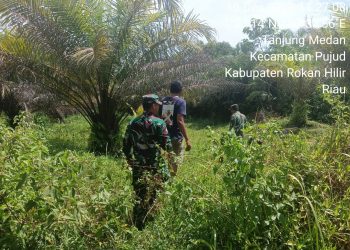Antisipasi Titik Api, Koramil 06/TM Kembali Patroli dan Sosialisasi Karhutla