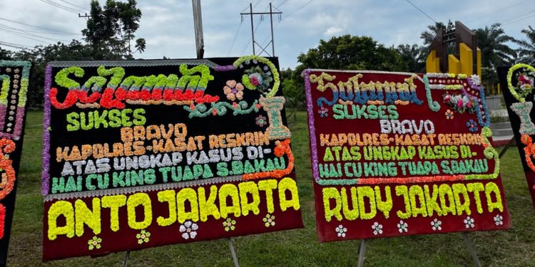 Polres Rohil Tuai Apresiasi Setelah Berhasil Ungkap Kasus Pencurian Hiolo