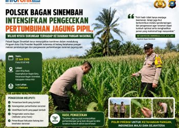 Dukung Asta Cita Presiden, Polsek Bagan Sinembah Pantau Pertumbuhan Jagung Pipil