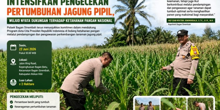 Dukung Asta Cita Presiden, Polsek Bagan Sinembah Pantau Pertumbuhan Jagung Pipil