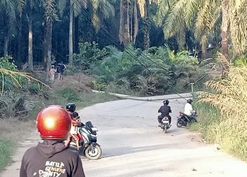Diduga Disenggol Alat Berat, Tiang JTM Dobel Sirkuit Tumbang di Bagan Sinembah