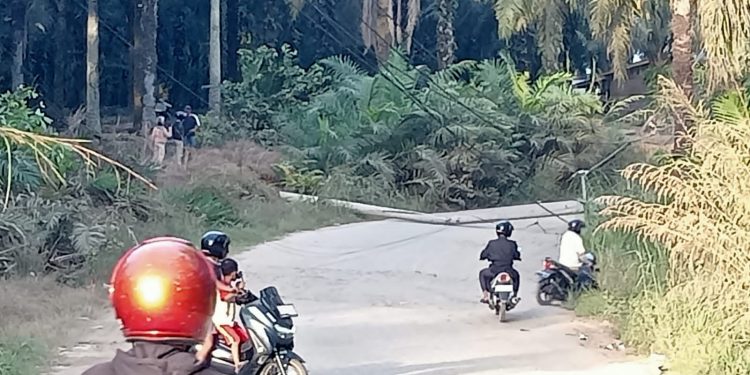 Diduga Disenggol Alat Berat, Tiang JTM Dobel Sirkuit Tumbang di Bagan Sinembah