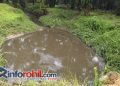 Jejak Air Hitam dari PTPN IV PKS Sei Meranti, Anak Sungai Diduga Tercemar hingga Aliran Bagan Cacing