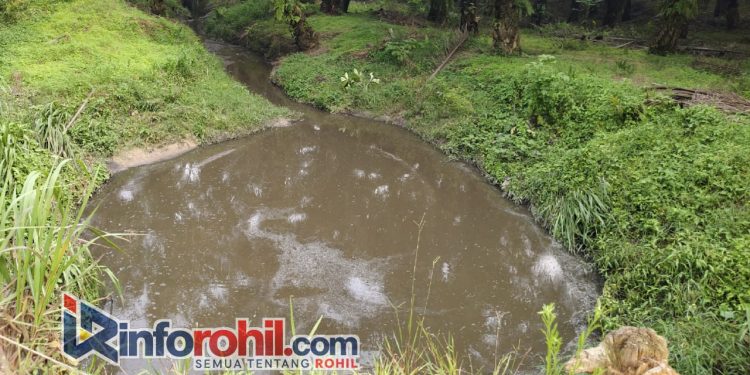 Jejak Air Hitam dari PTPN IV PKS Sei Meranti, Anak Sungai Diduga Tercemar hingga Aliran Bagan Cacing