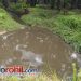 Jejak Air Hitam dari PTPN IV PKS Sei Meranti, Anak Sungai Diduga Tercemar hingga Aliran Bagan Cacing
