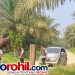 DLH Rohil Turun Cek Dugaan Pencemaran di Areal PTPN IV Regional I Sei Meranti