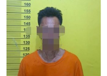 Anak Usia 4 Tahun Diduga Jadi Korban Pencabulan, Pria 56 Tahun Ditangkap