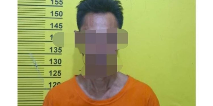 Anak Usia 4 Tahun Diduga Jadi Korban Pencabulan, Pria 56 Tahun Ditangkap